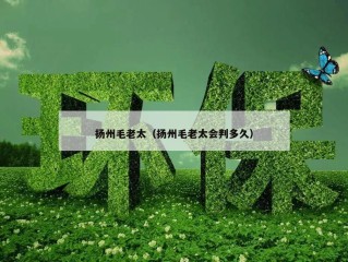 扬州毛老太（扬州毛老太会判多久）