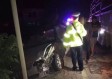 引擎盖下的惊魂，2米眼镜蛇藏身险酿事故